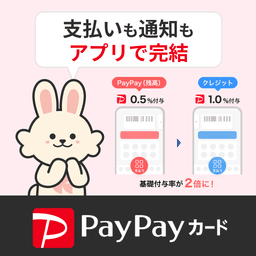 【1.4倍還元中！】PayPayカード